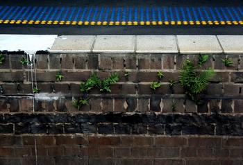 �߿Ƽ��齫��ң������Ƶ���㽭ͩ®�����ֳ�Ǩ�¾� ��32����ϯ��31�����...